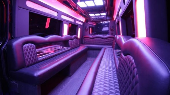 belleville sprinter limo rental rental