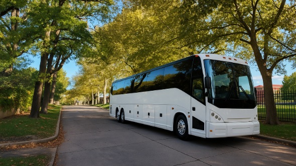 springfield airport shuttles